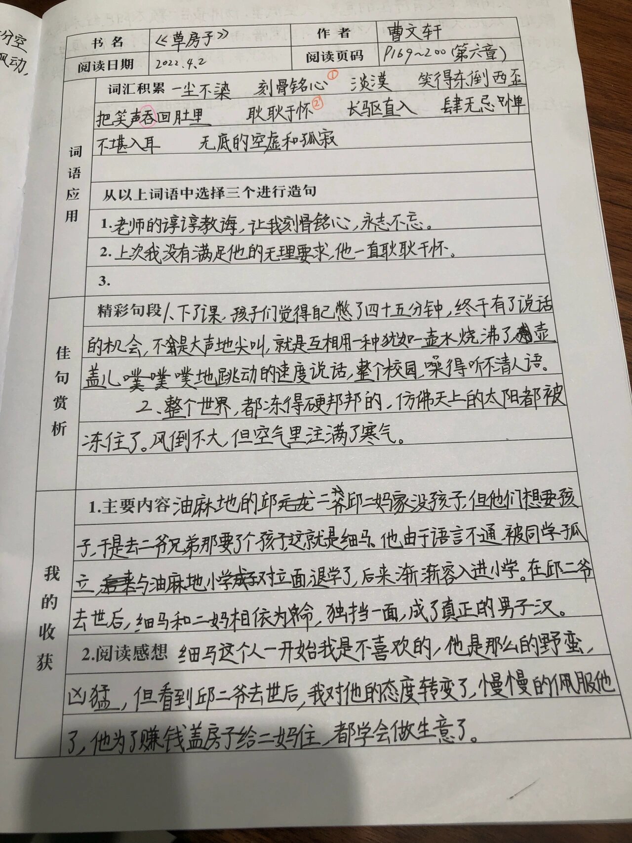 读书笔记摘抄草房子图片