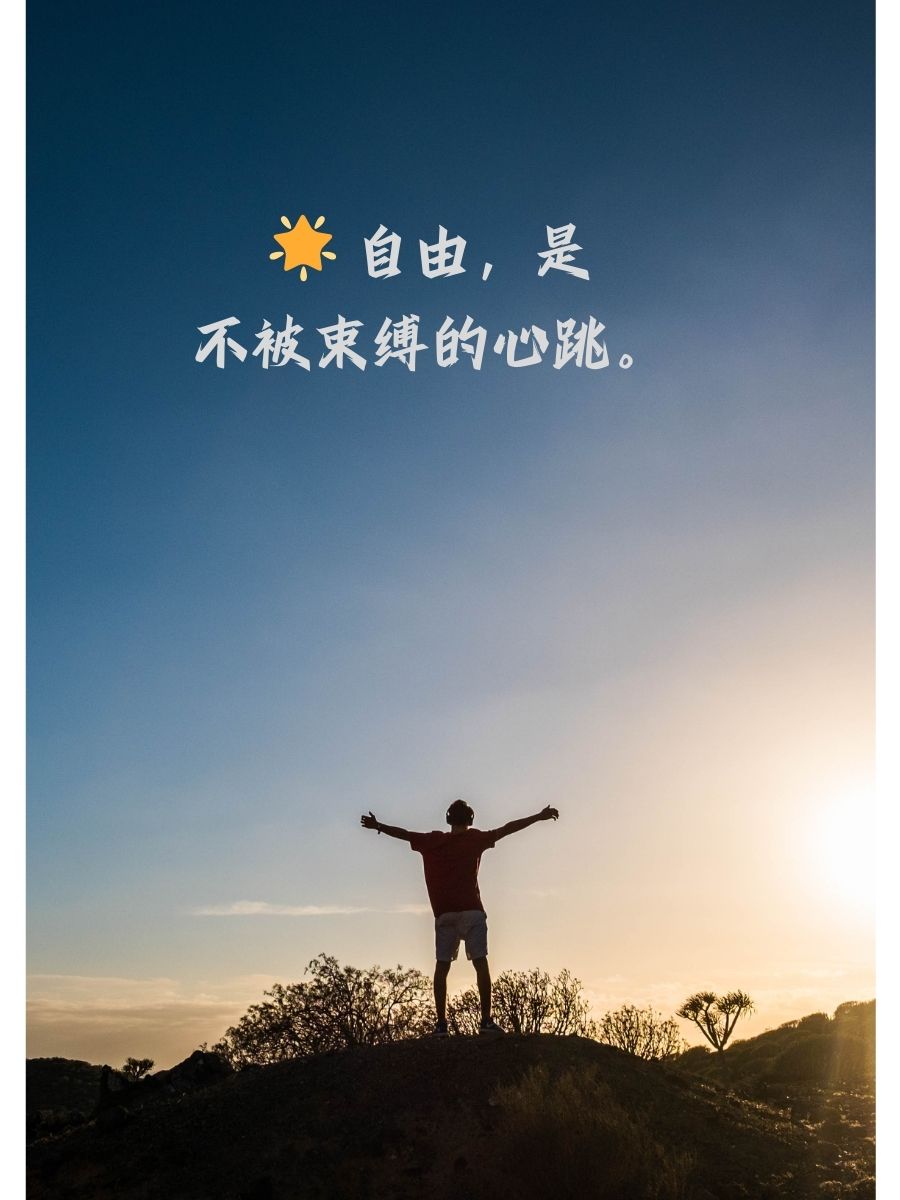 自由的最高境界一句话  自由,是不被束缚的心跳.