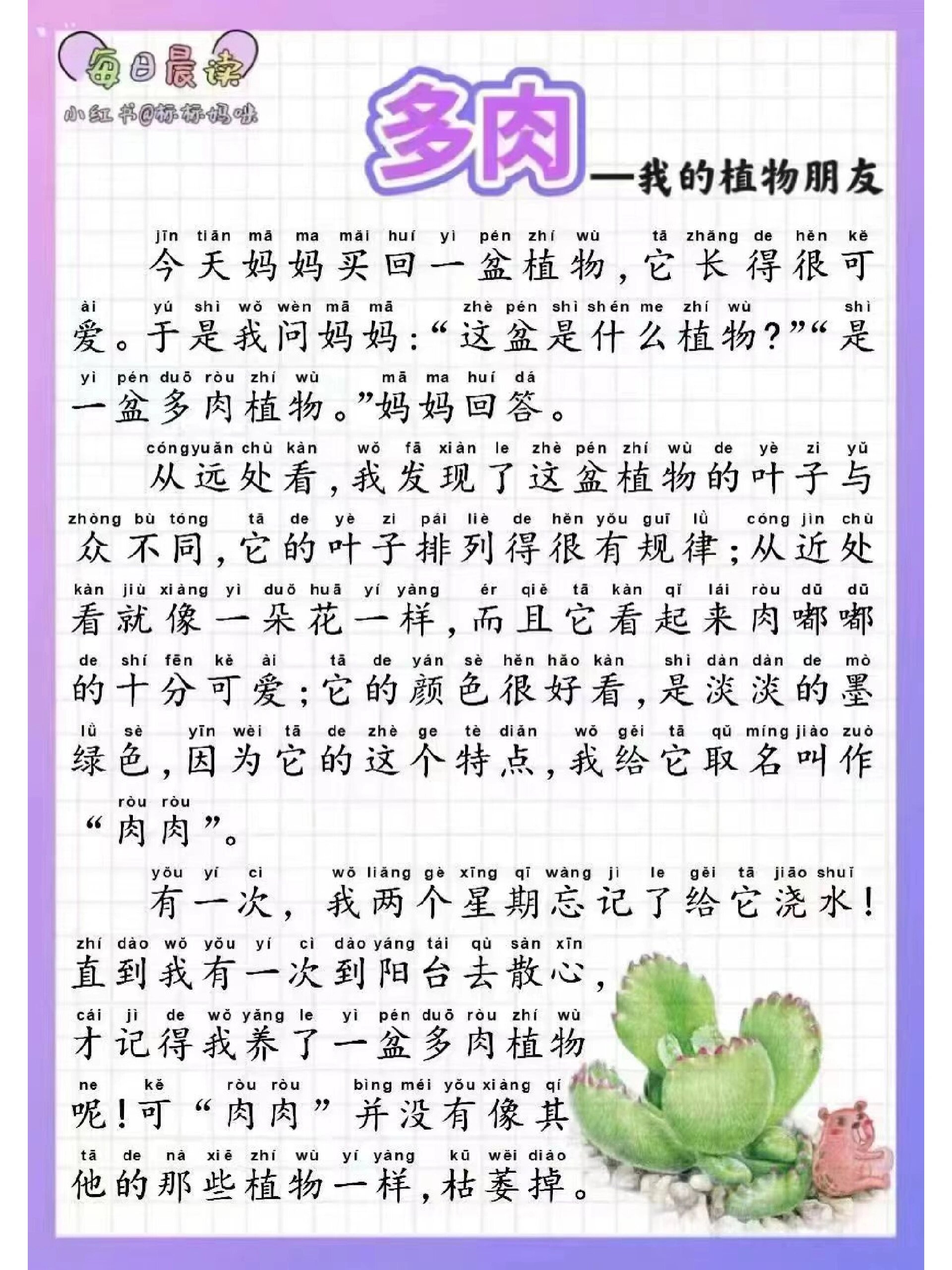 观察多肉的作文300字四年级(观察多肉的作文300字四年级上册)