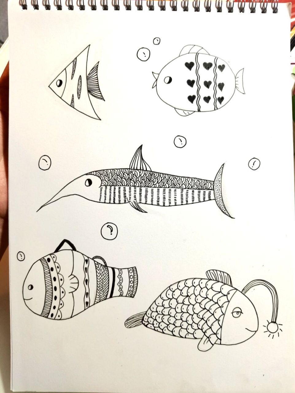 小鱼成长过程简笔画图片