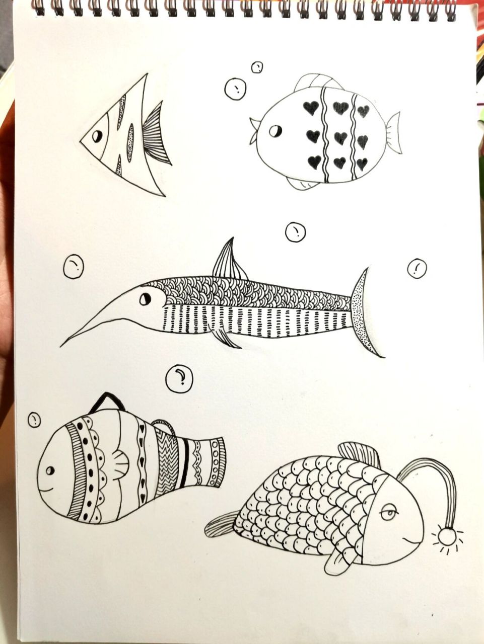 不同种类多小鱼 简单小鱼简笔画