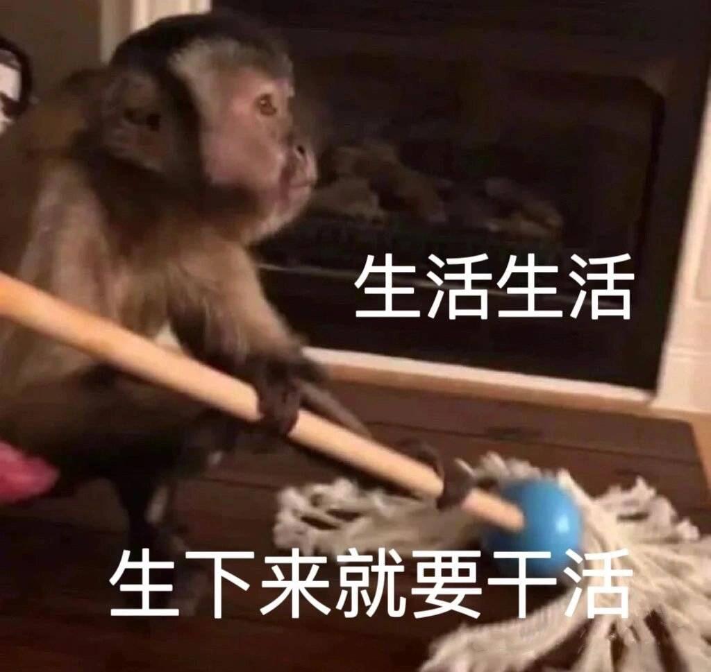 活着就是打工咯没办法的