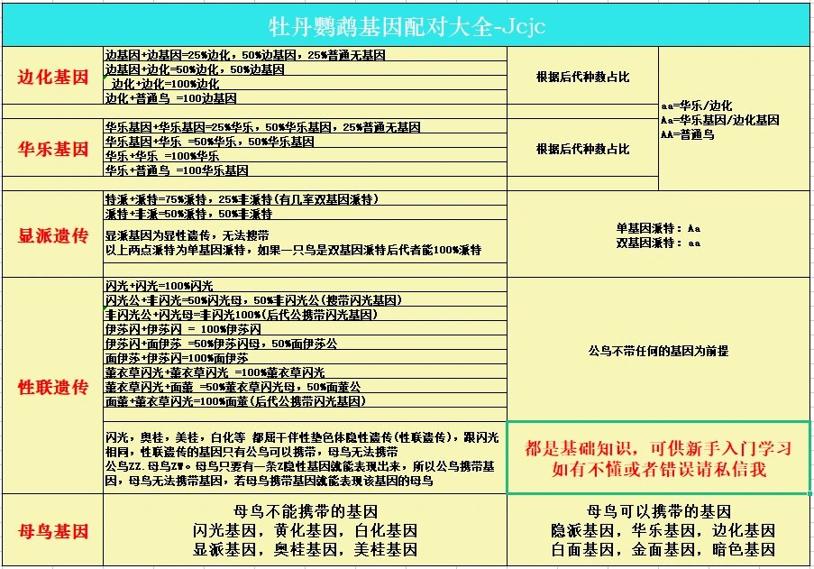 牡丹鹦鹉配对公式图图片