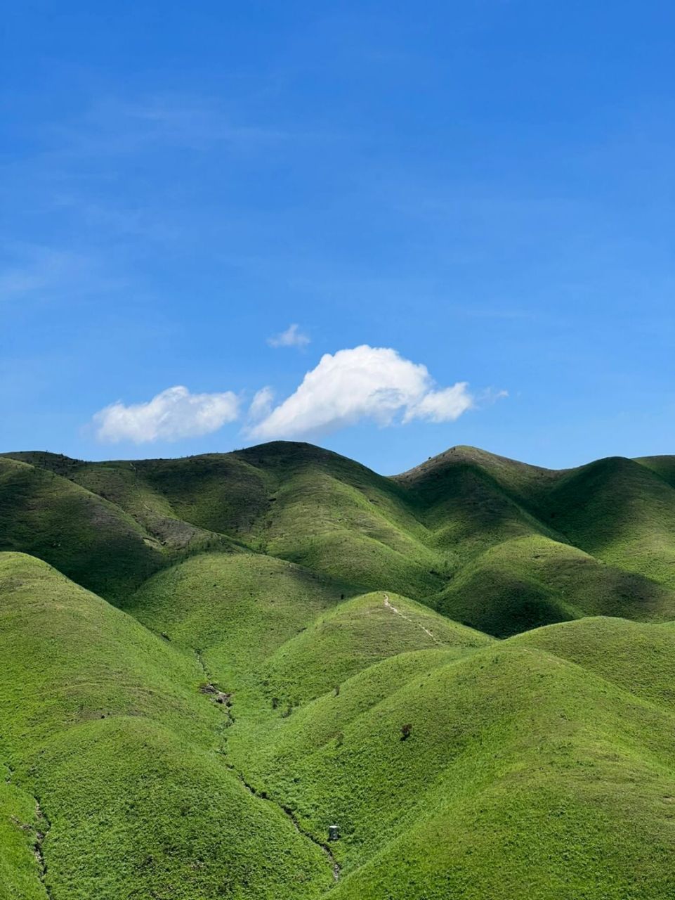 我找到福建最美的草场 | 柘荣鸳鸯草场 宁德柘荣的鸳鸯草场真的太治愈