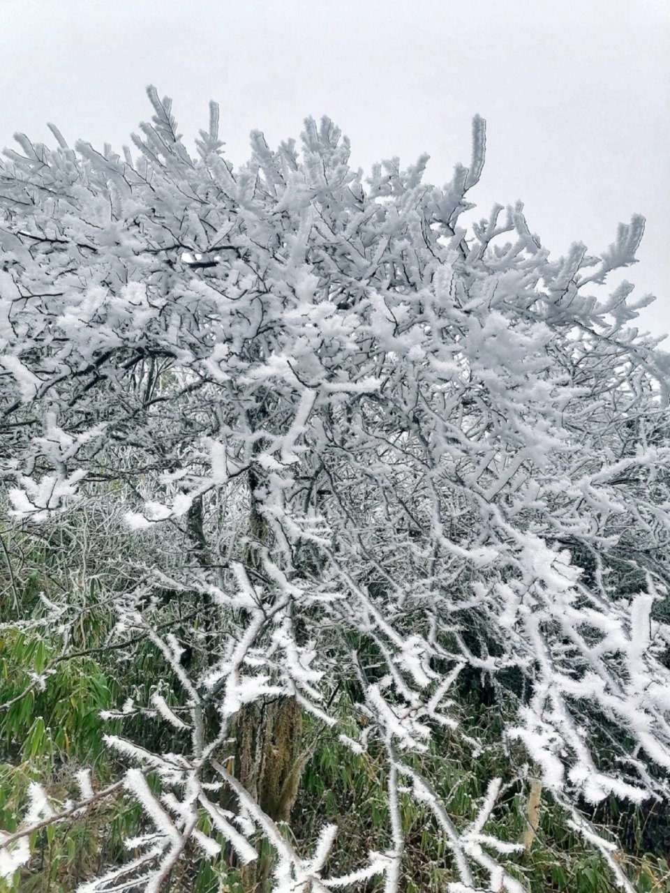 全州天湖雪景图片图片