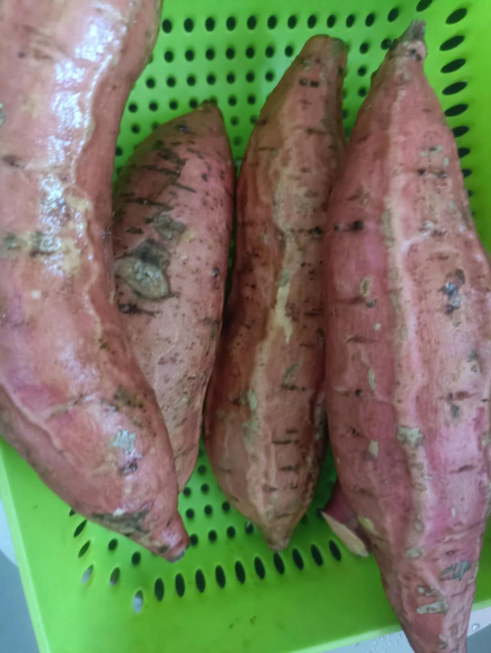 我们都爱吃糖心蜜薯,里面的肉是金黄金黄的,吃起来也特别甜,比普通