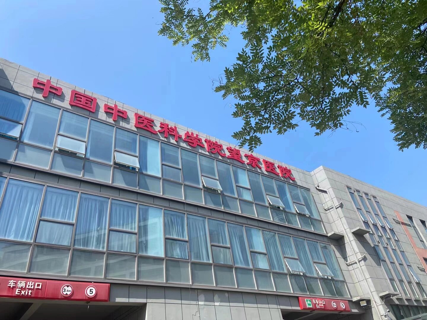 关于望京医院全程代诊含挂号缓解就医焦虑的信息