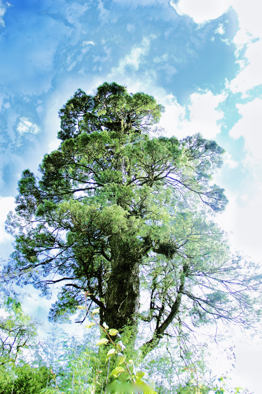 高原熄灯号# 你看过的最震撼的电影是?晚安~[月亮][月亮](宁博麟)