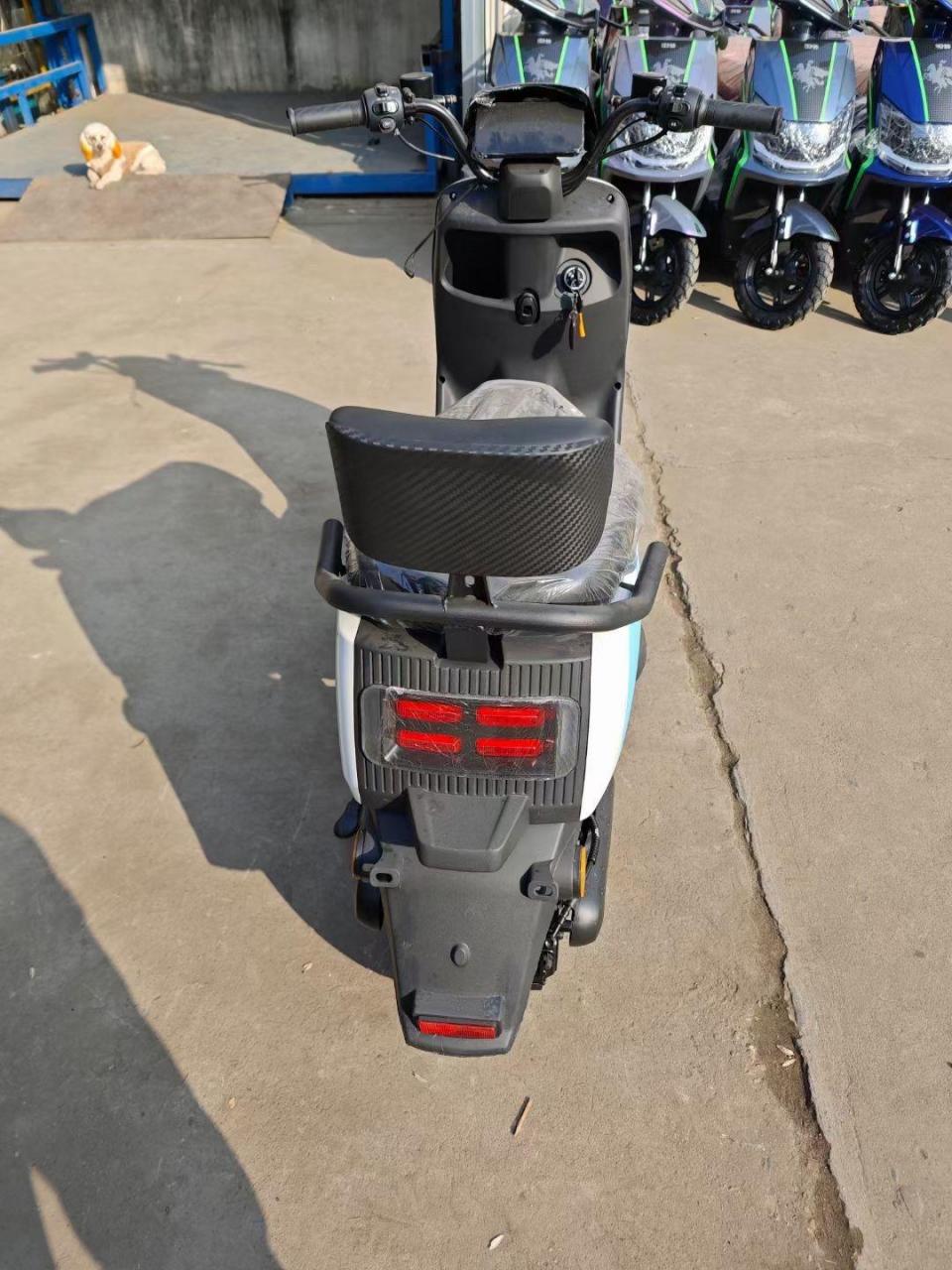 豪顺电动车 前后双碟 新车新电池