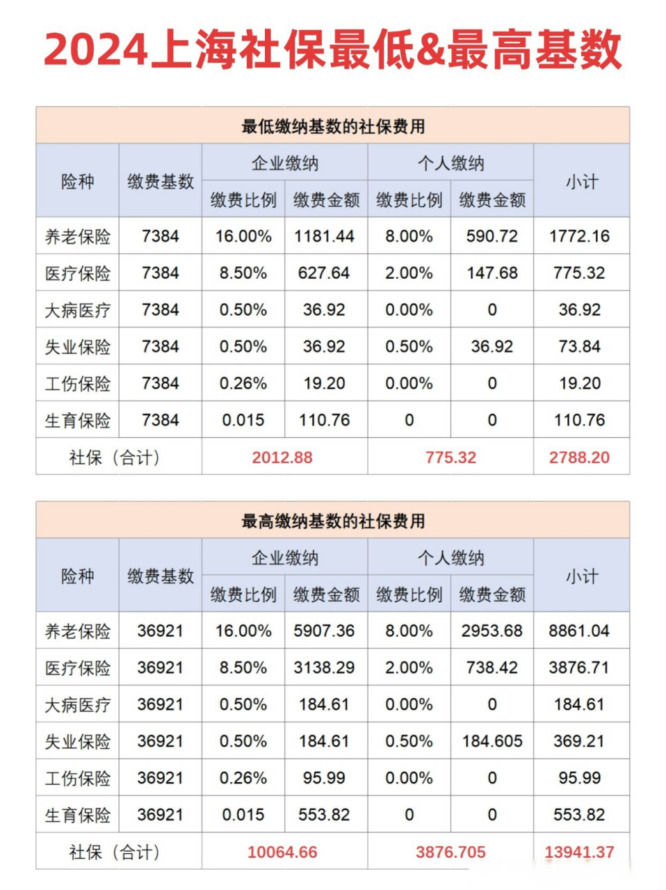 公司社保清单图片