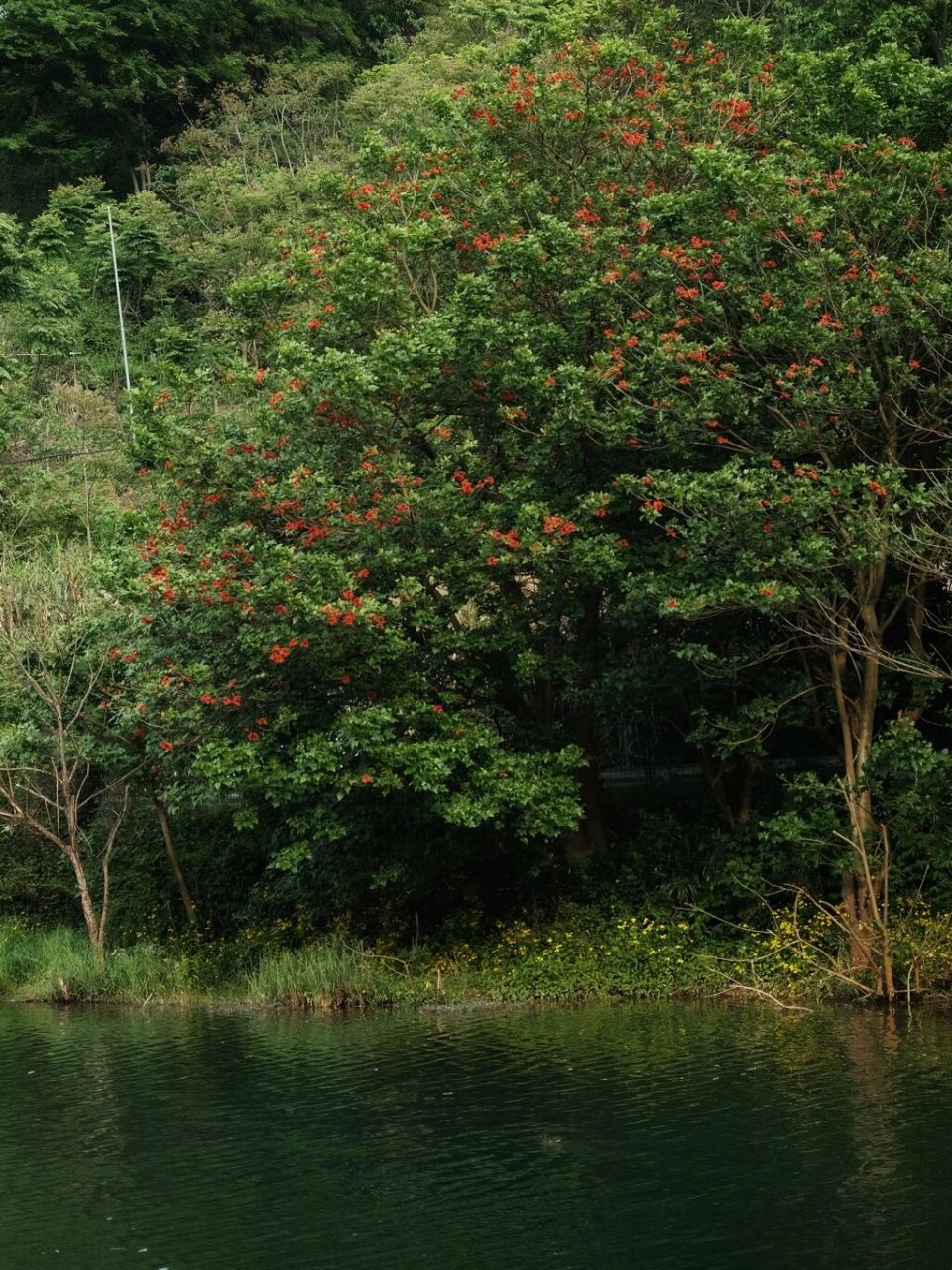 重庆大学城|徒步路上 遇见杨家沟水库99 沉迷于山间美好 周末徒步路