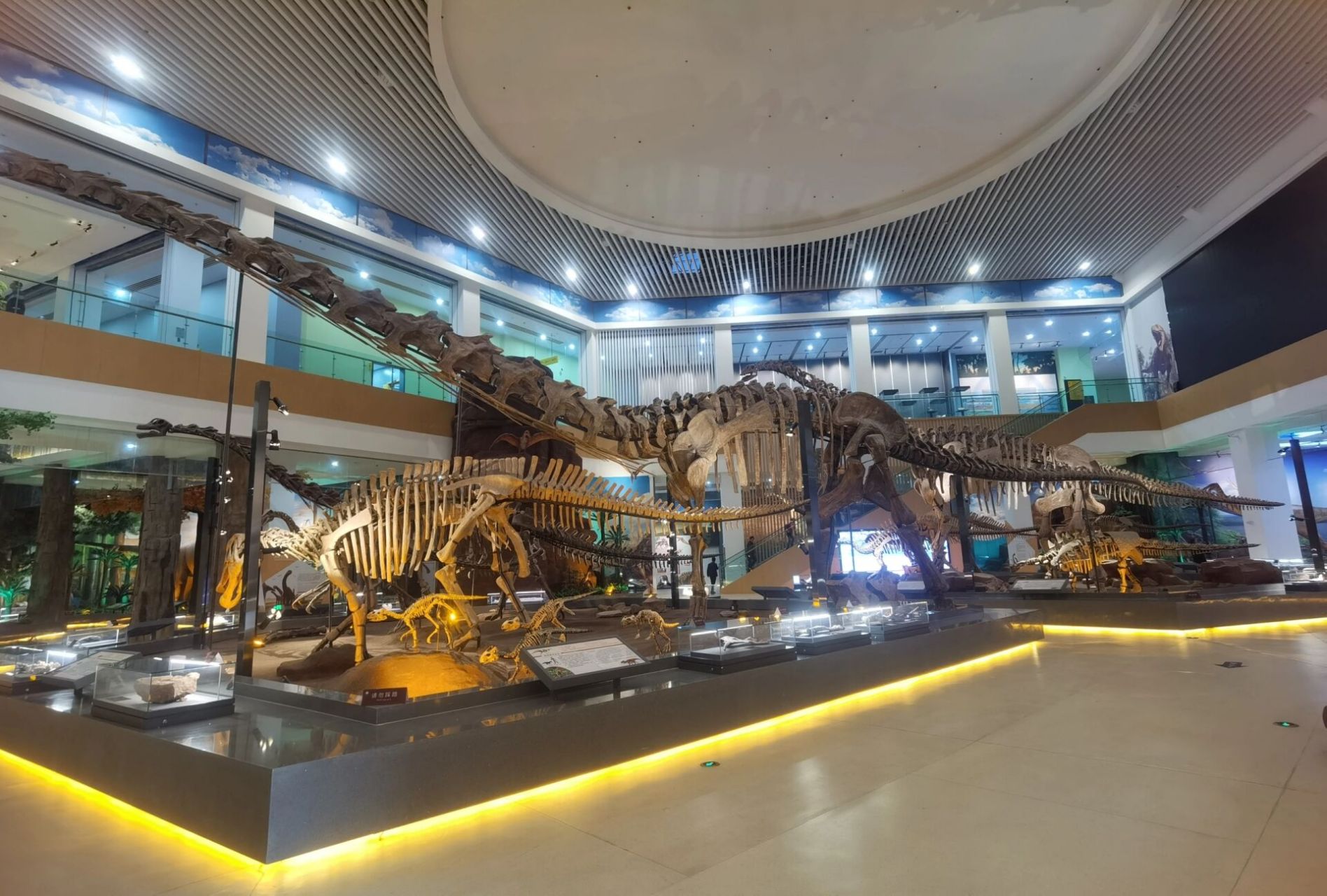 南京恐龙博物馆门票图片