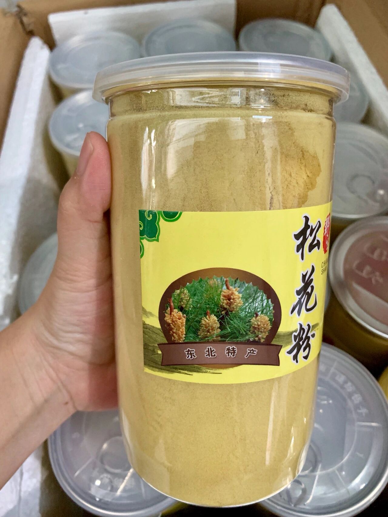 草珊瑚破壁松花粉图片