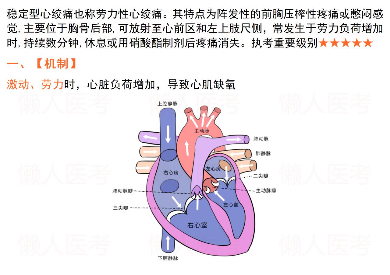 其特点为阵发性的前胸压榨性疼痛或憋闷感觉