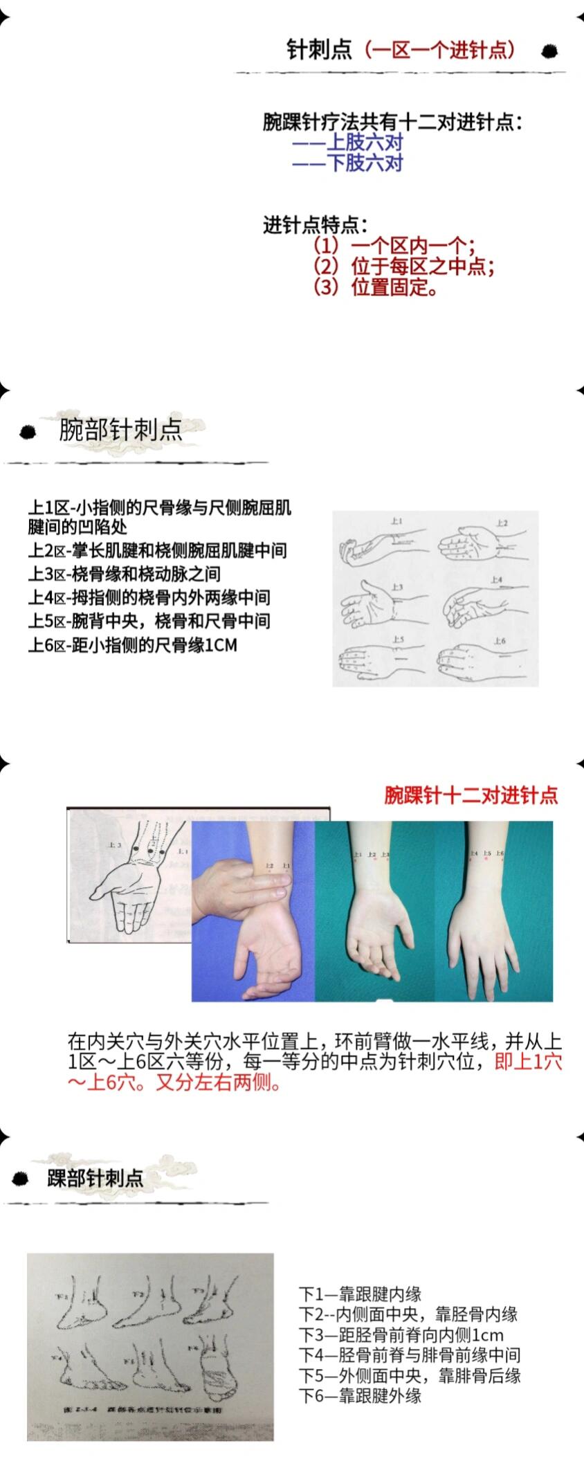 腕踝针的相关知识