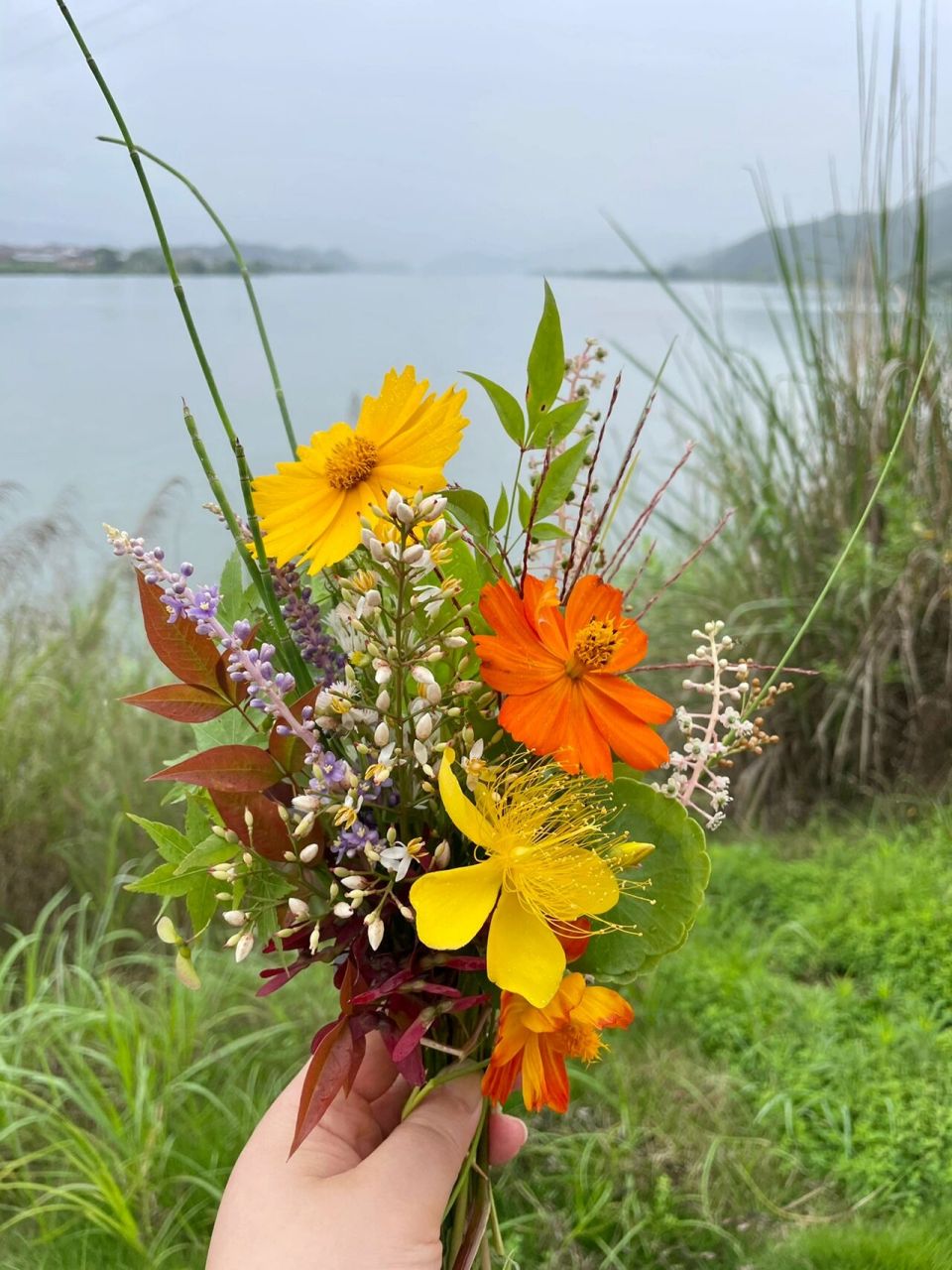 田间地头触手可得的野花野草做一束漂亮花束