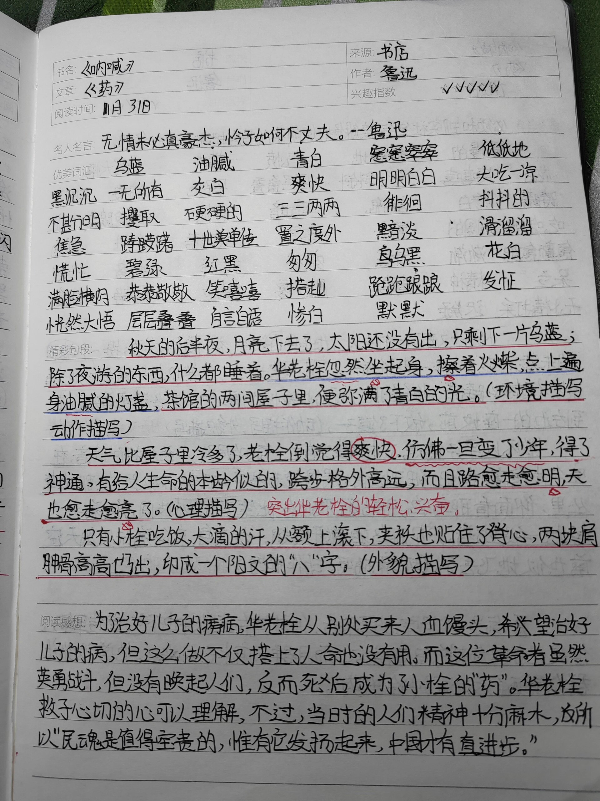 鲁迅《呐喊》小说集读书笔记寒假
