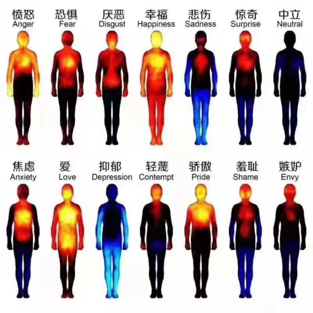 人在各种情绪下的身体热成像图 人在各种情绪下的身体热成像图 这是