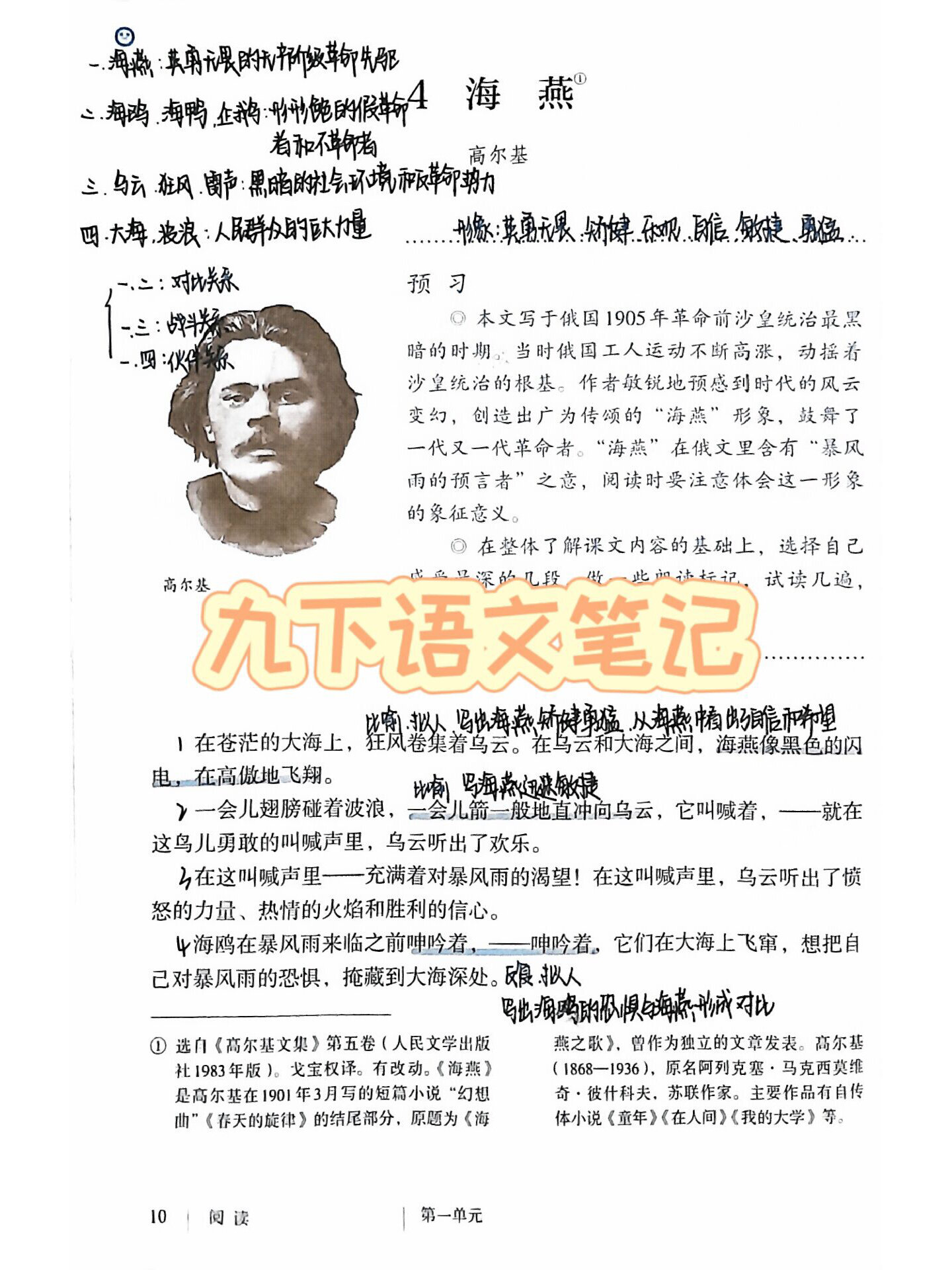 九下语文海燕注音版(九下语文海燕课文内容) 第1张 九下语文海燕注音版(九下语文海燕课文内容) 第1张