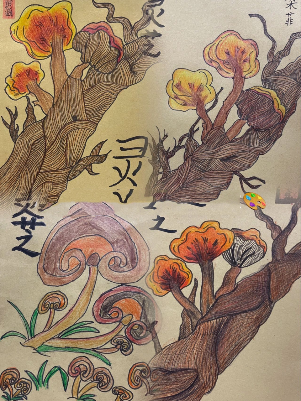 灵芝简笔画野生图片