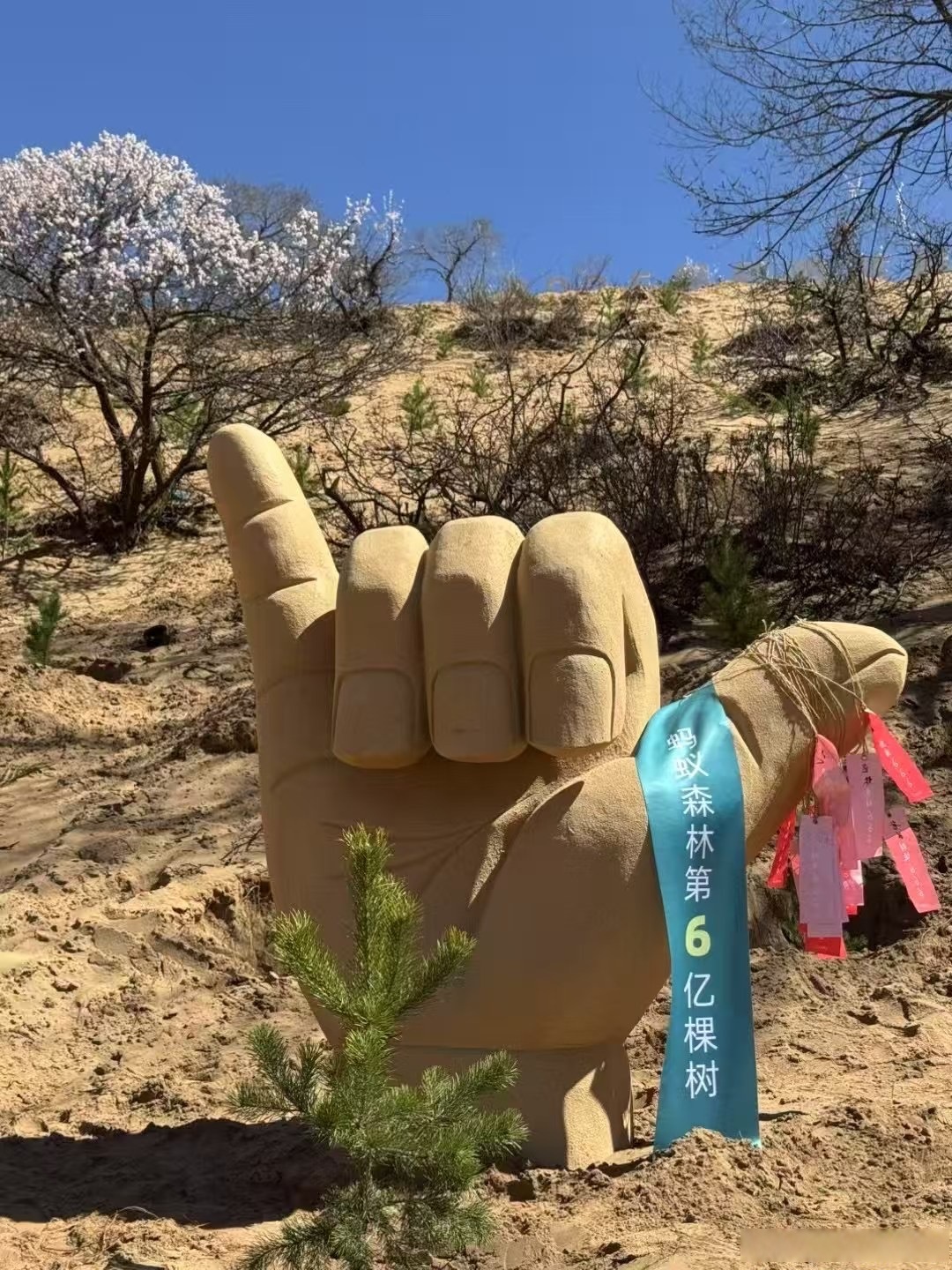 蚂蚁森林种下第6亿棵树#4月22日是"世界地球日",蚂蚁森林在河北省