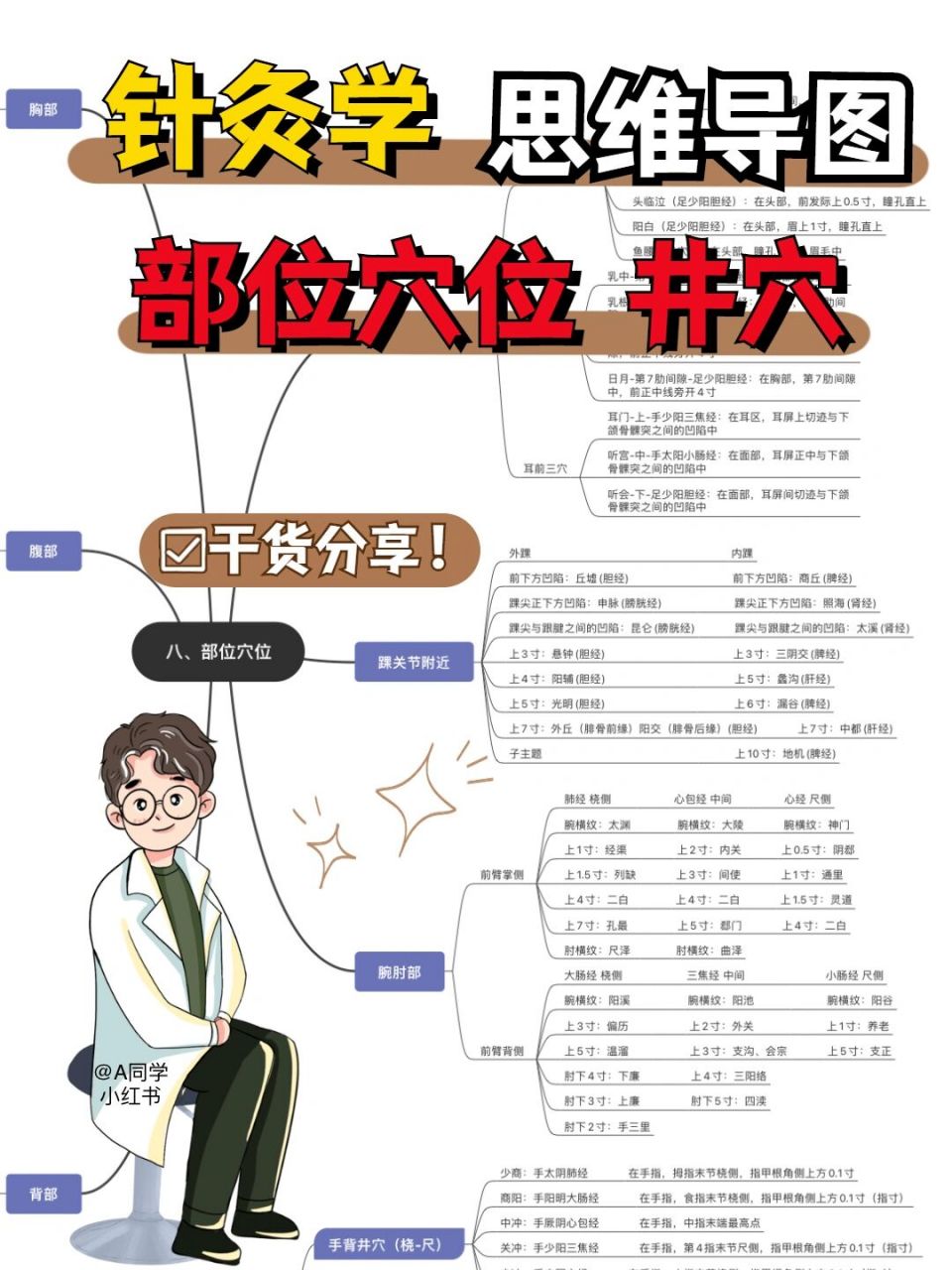 思维导图-针灸学11 (八)部位穴位(九)井穴