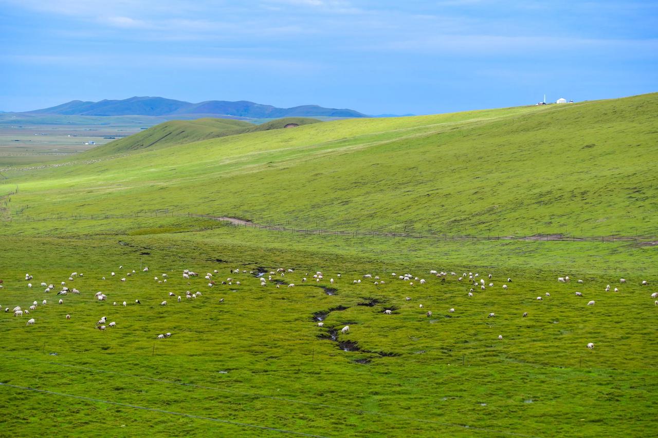 关于计较,显露与贪欲的思索