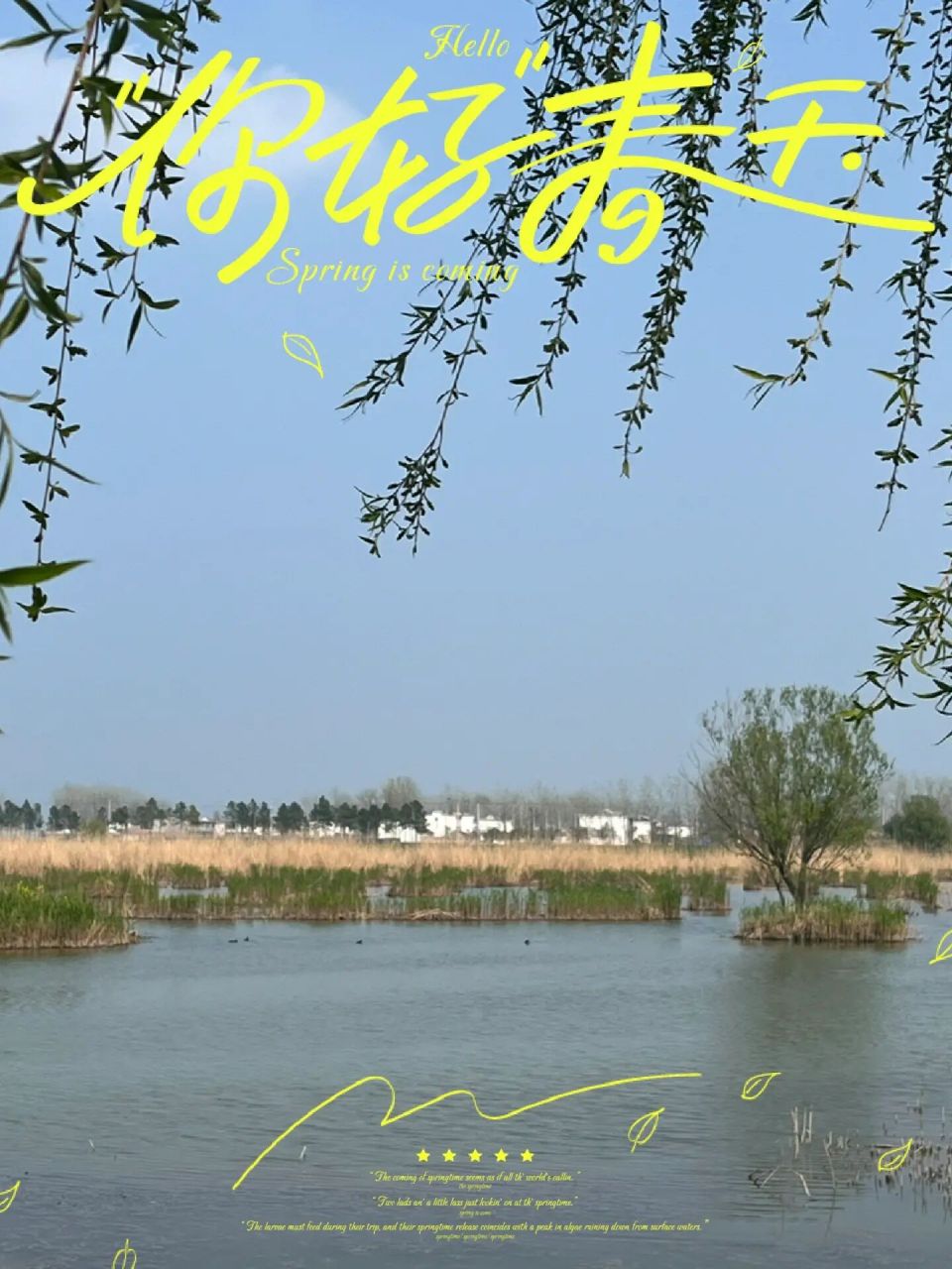 泗县石龙湖湿地公园    周末下午出去湿地公园,风景不错,湖里还有好多
