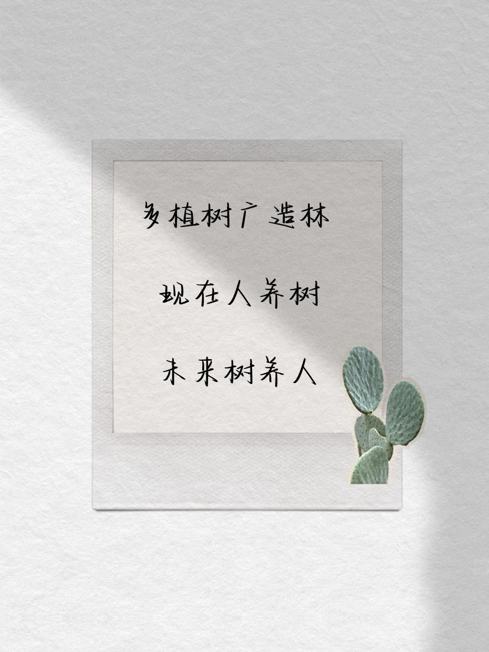 植树标语世世代代图片