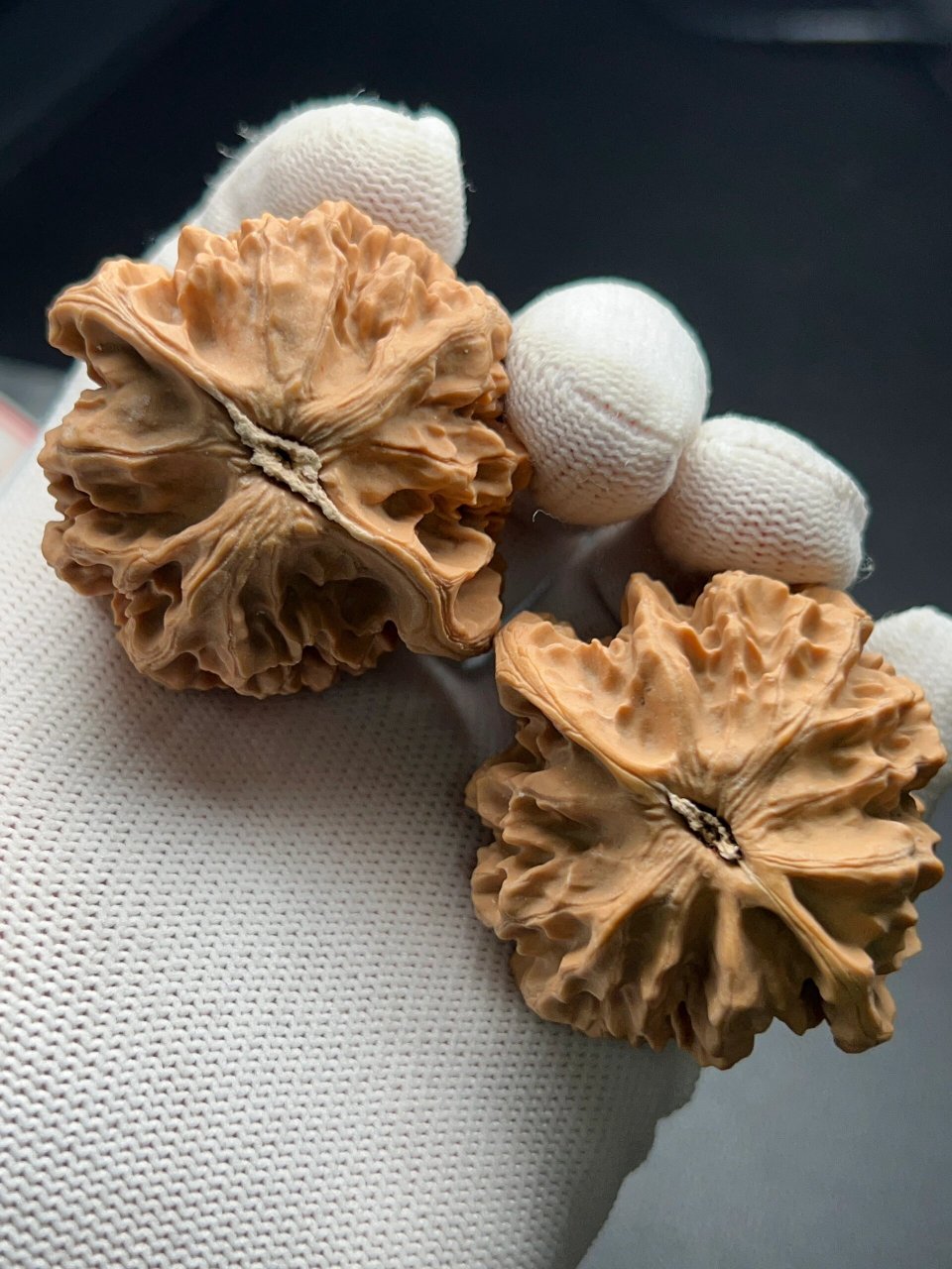 秦岭大龙纹官帽(没有关注无效) 尺寸:47.5-44.