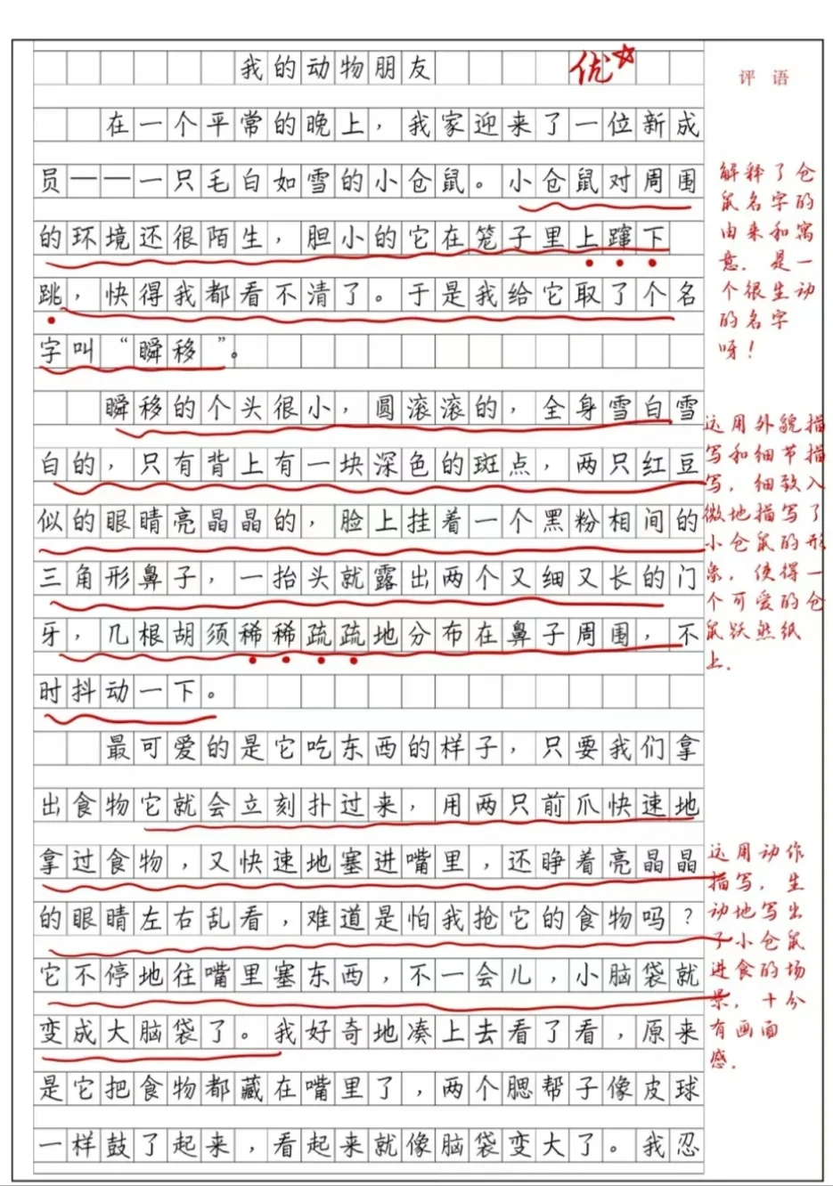 动物的作文50字图片