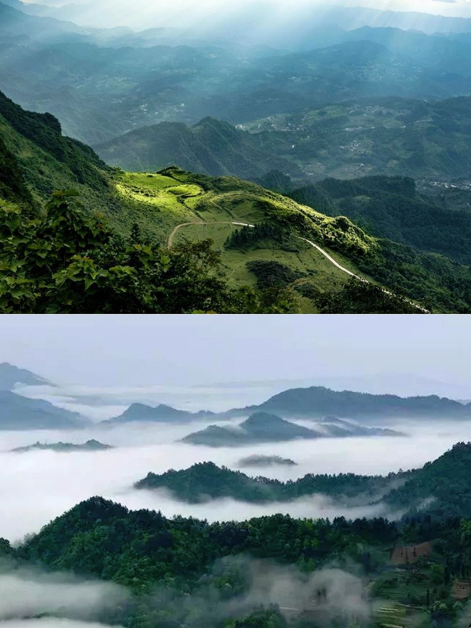 森林云端氧吧92彭水摩围山 摩围山景区地处重庆彭水县茂云山国家