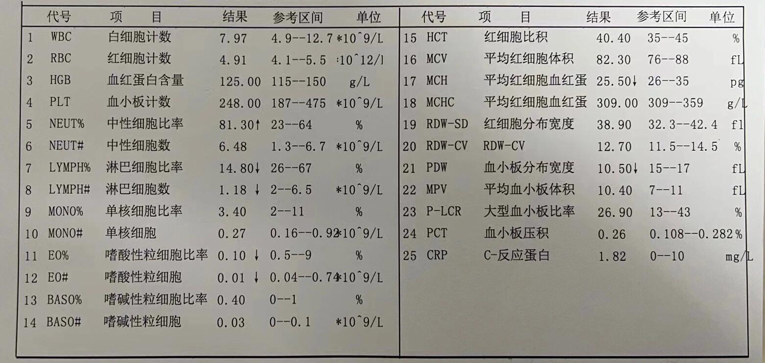 儿童血常规化验单图片图片