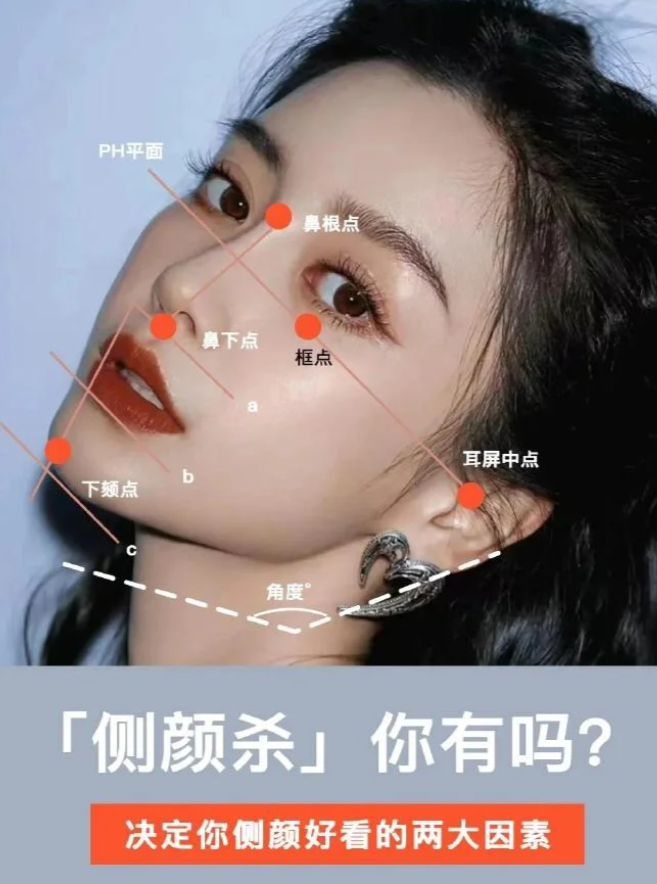 那么的侧颜是由什么因素决定的呢?