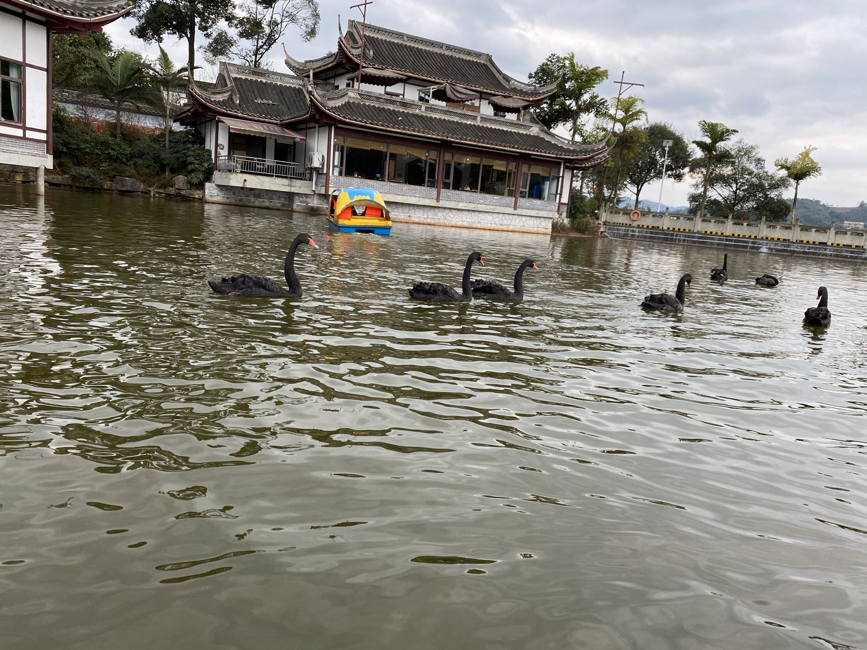 泸州桃花坞景区电话图片