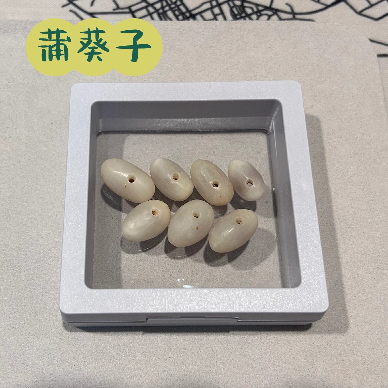 99蒲葵子手串制作— —进度20% 成果展示 9号呢磨了2颗,今天有朋友