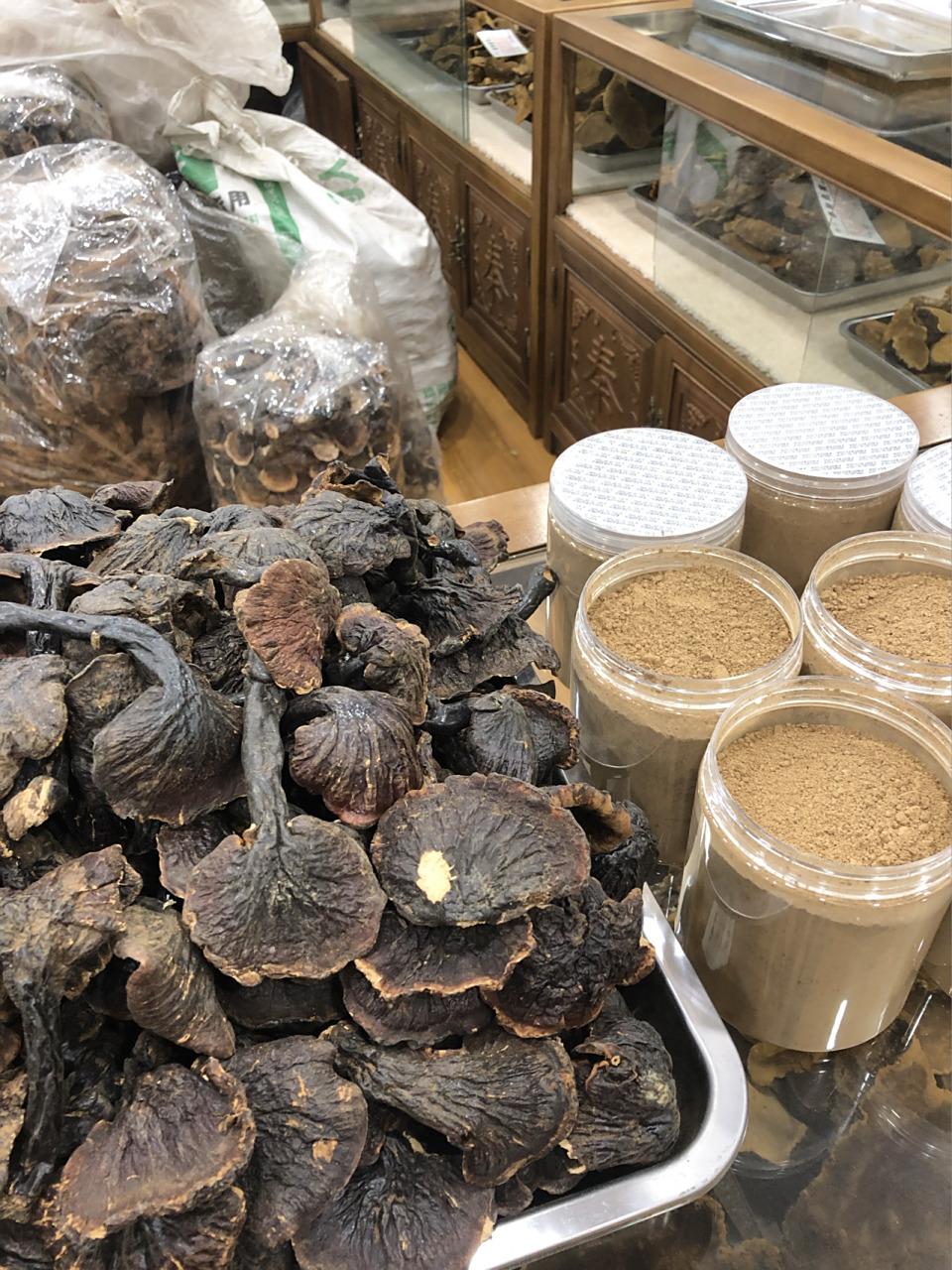 西藏白心灵芝—大自然赐予人类的礼物97 今天为大家介绍野生西藏白