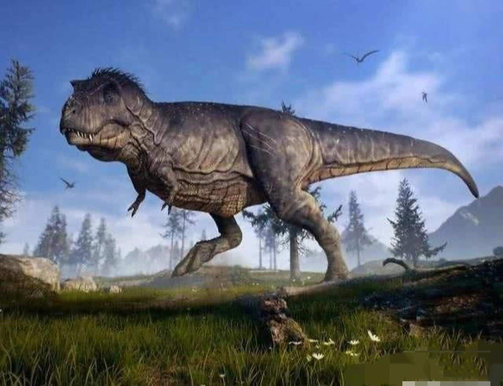 恐龙图鉴 物种:雷克斯暴龙(又叫霸王龙) 年代:晚白垩纪 体型:11~13m 8