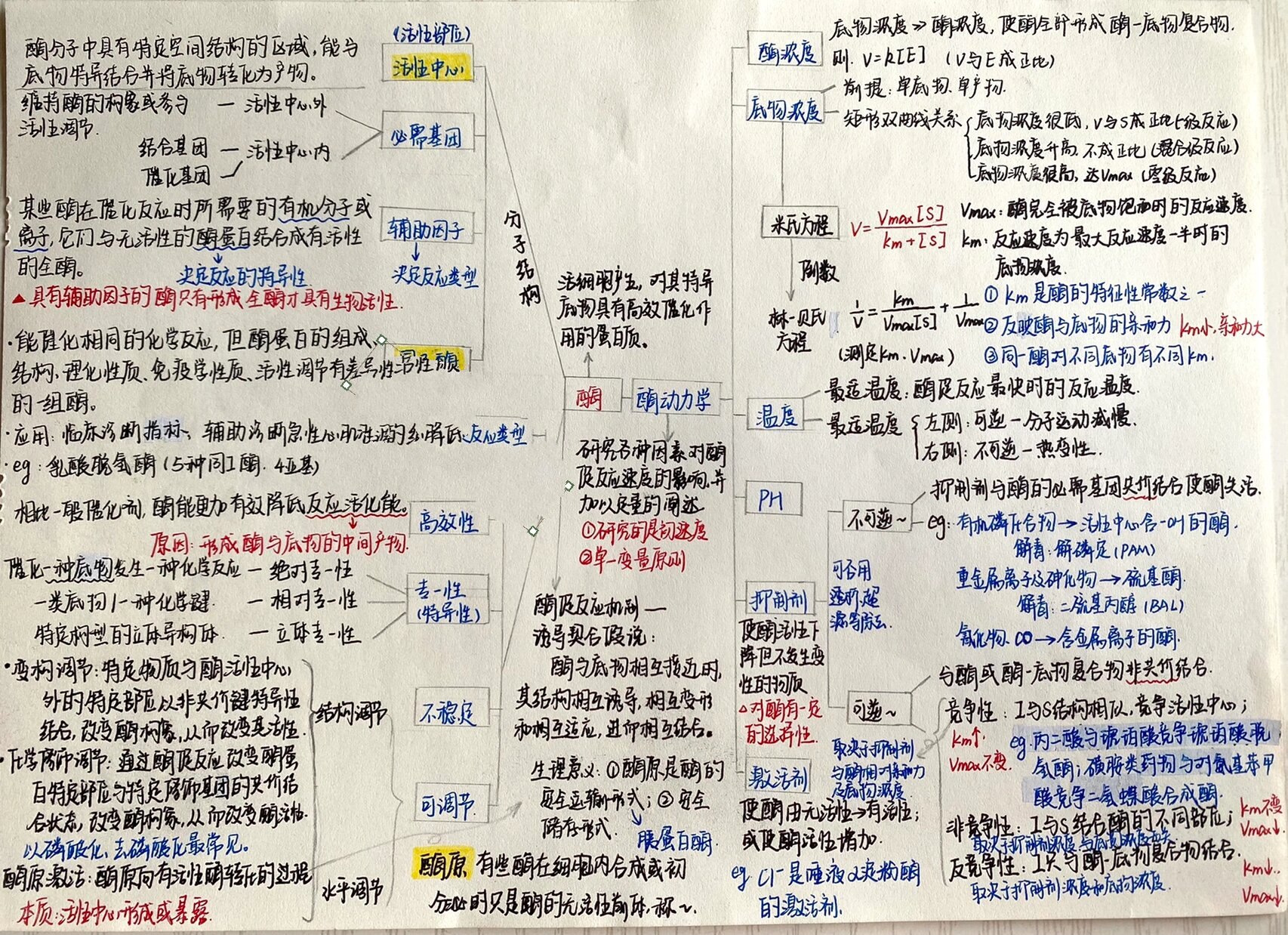 《生物化学》酶 思维导图