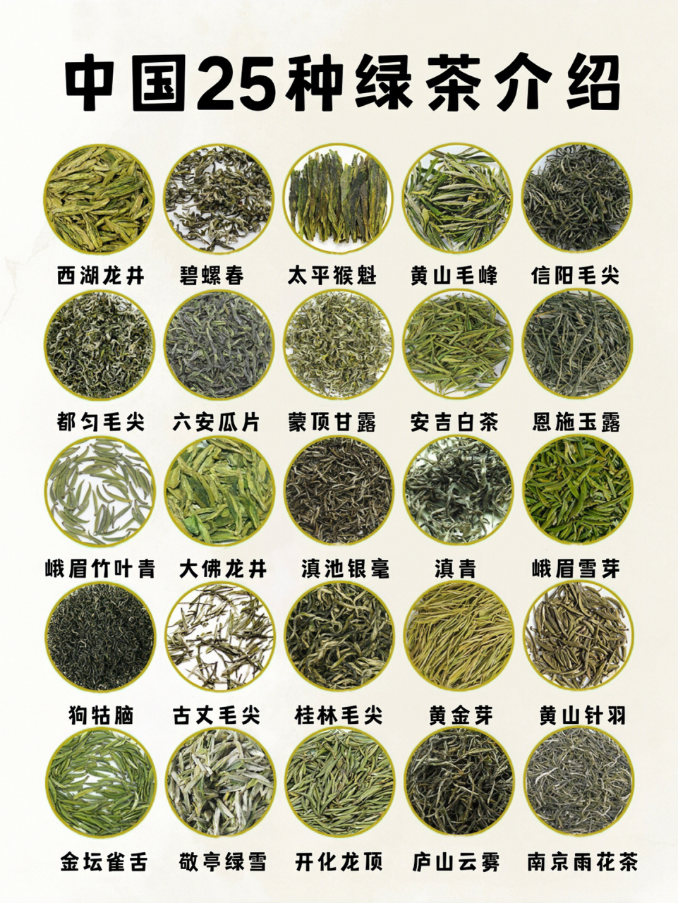 95茶知识|中国名茶绿茶 95中国传统名茶众多,而且涉及种类广泛.