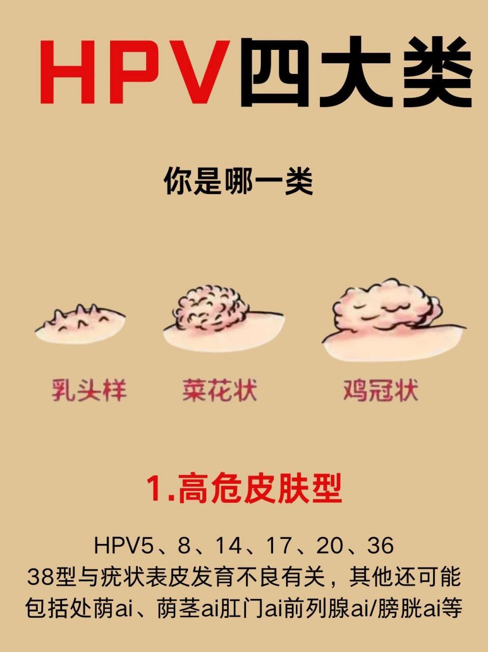 快来自测hpv四大类,你是第几类63 166高危皮肤型 hpv5,8,14,17,20