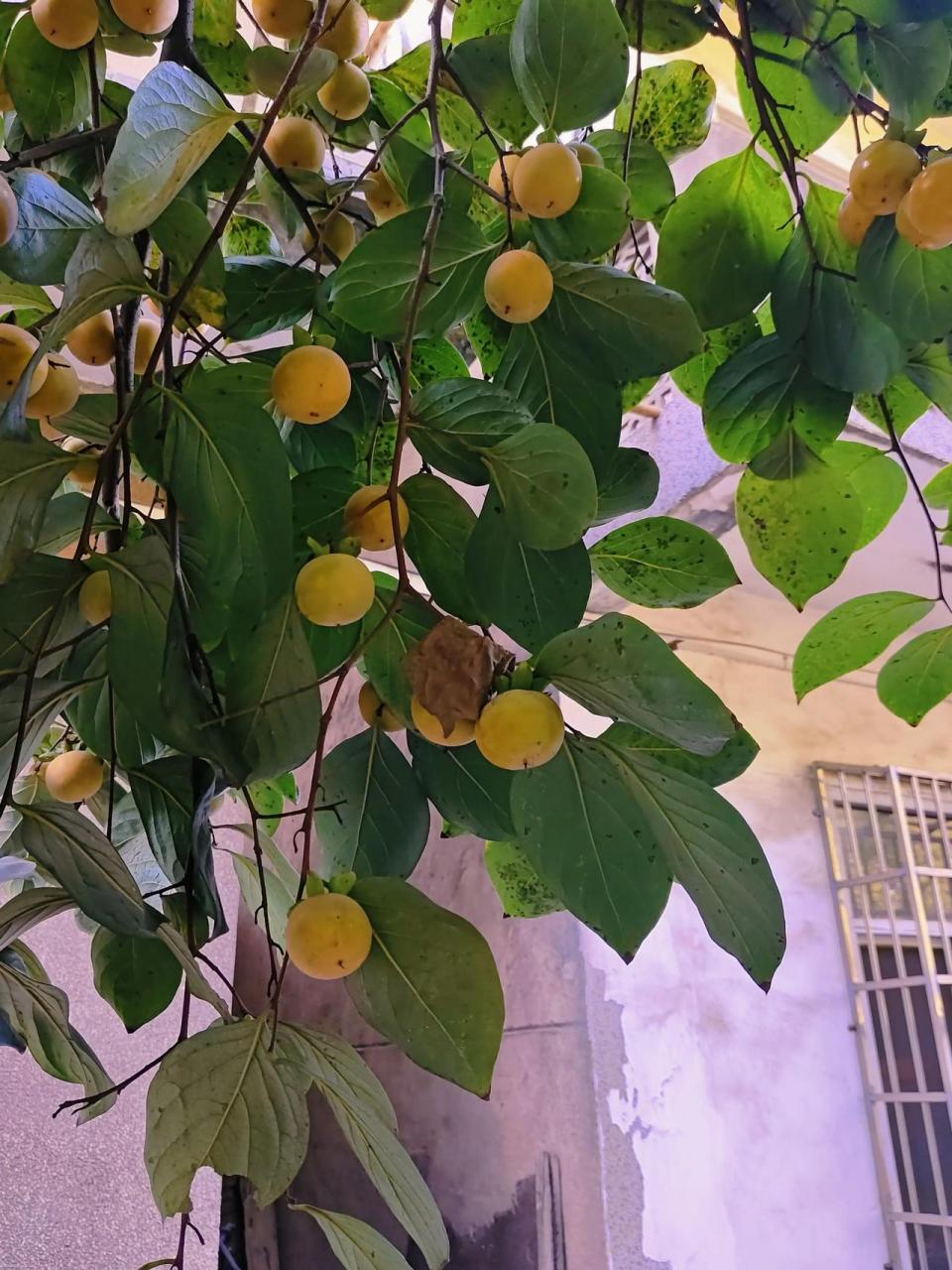 最好还是先期待,股市能大涨,让那些股民,先吃饱喝足.