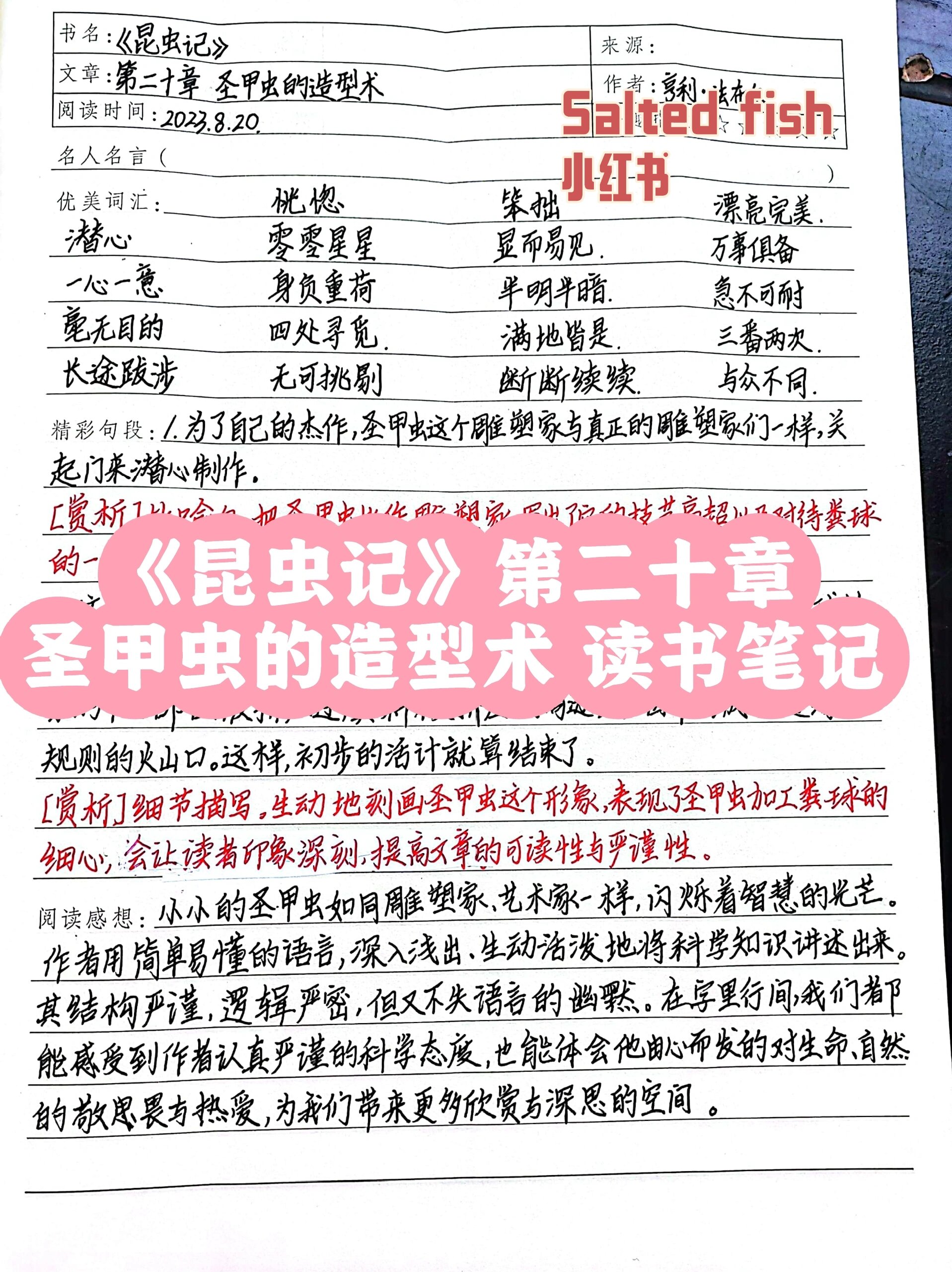 读书笔记20字 20篇图片