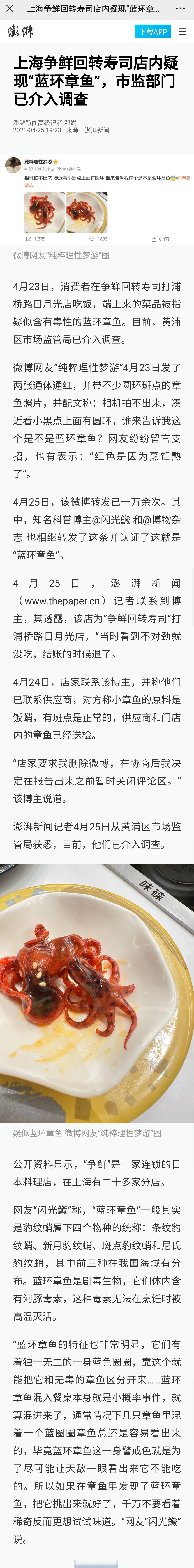 【市监局介入调查寿司店疑现蓝环章鱼】争鲜回转寿司店疑现蓝环章鱼