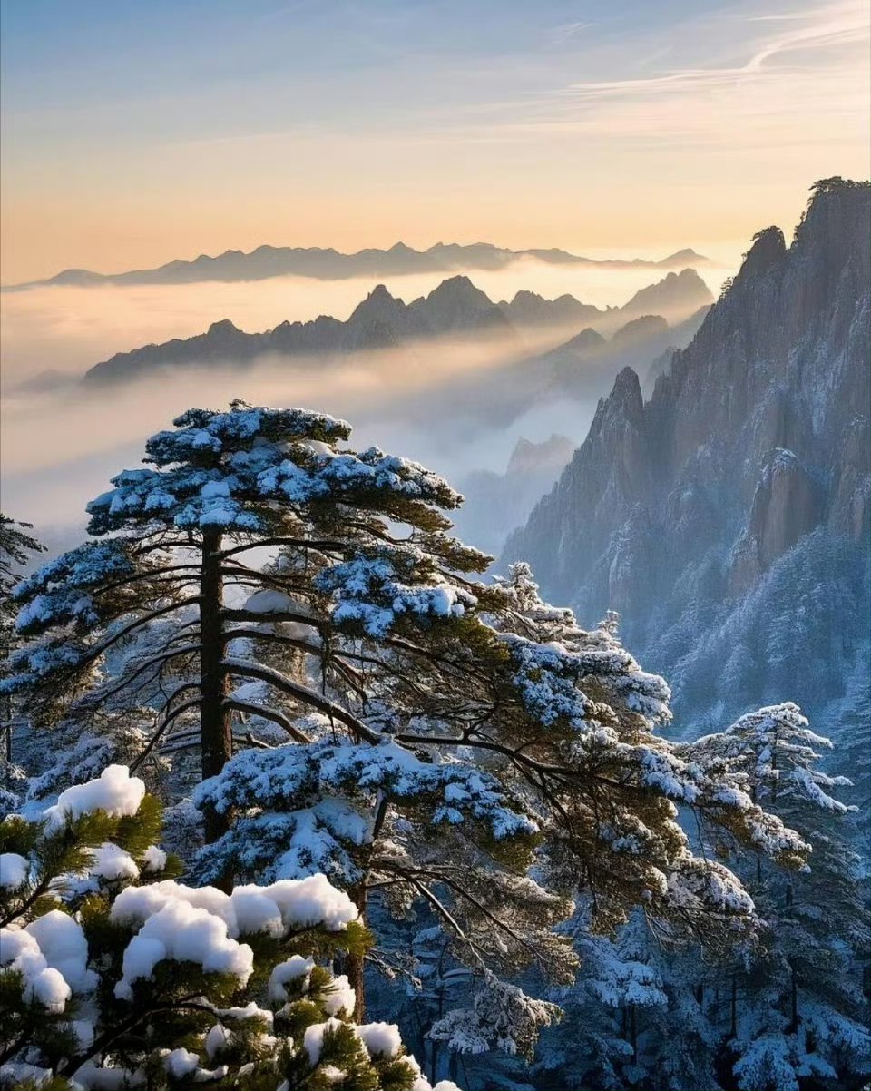 绝美映天光,寒风舞琼芳