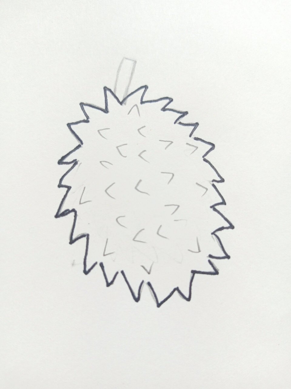 简笔画榴莲