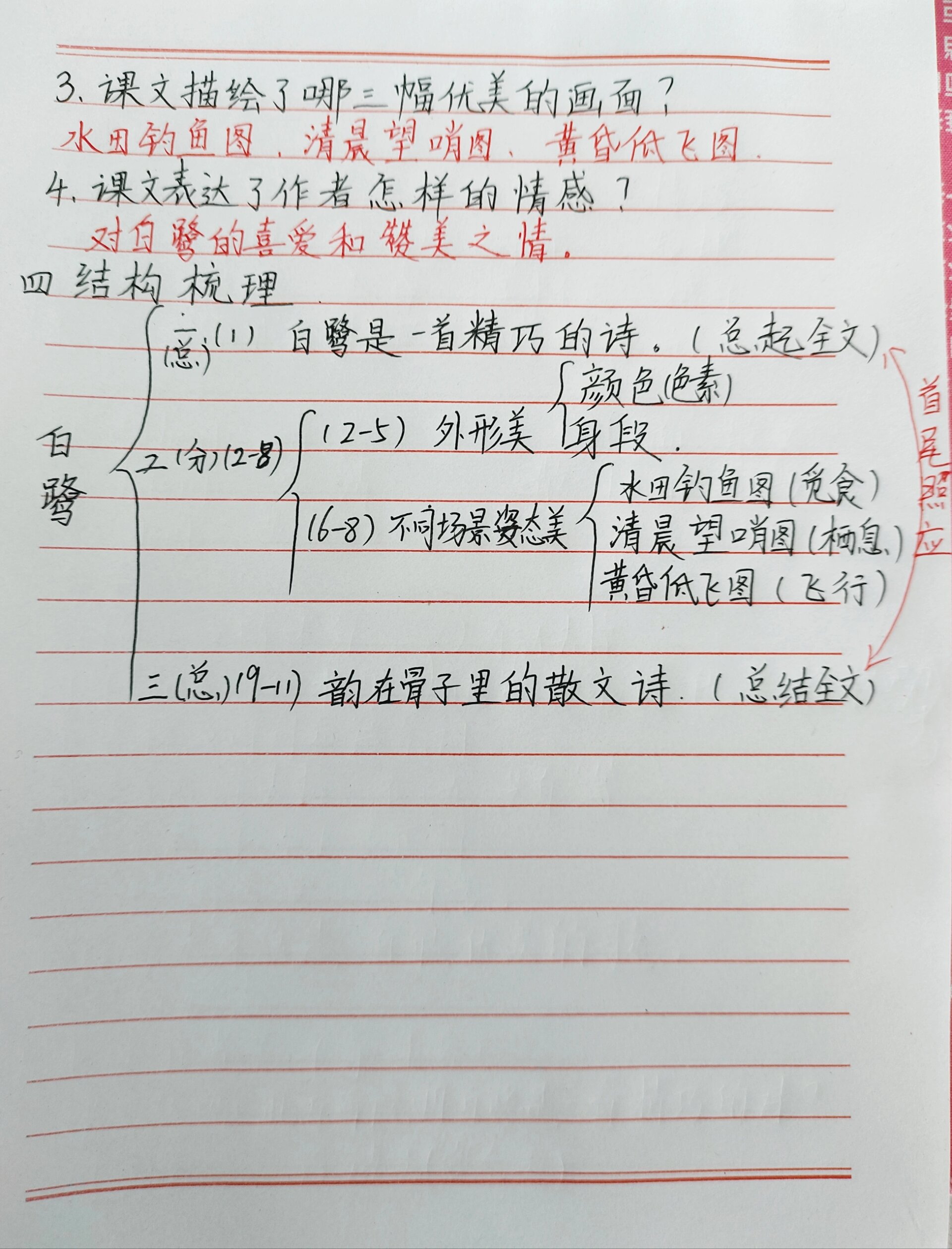 五上1《白鹭》知识点