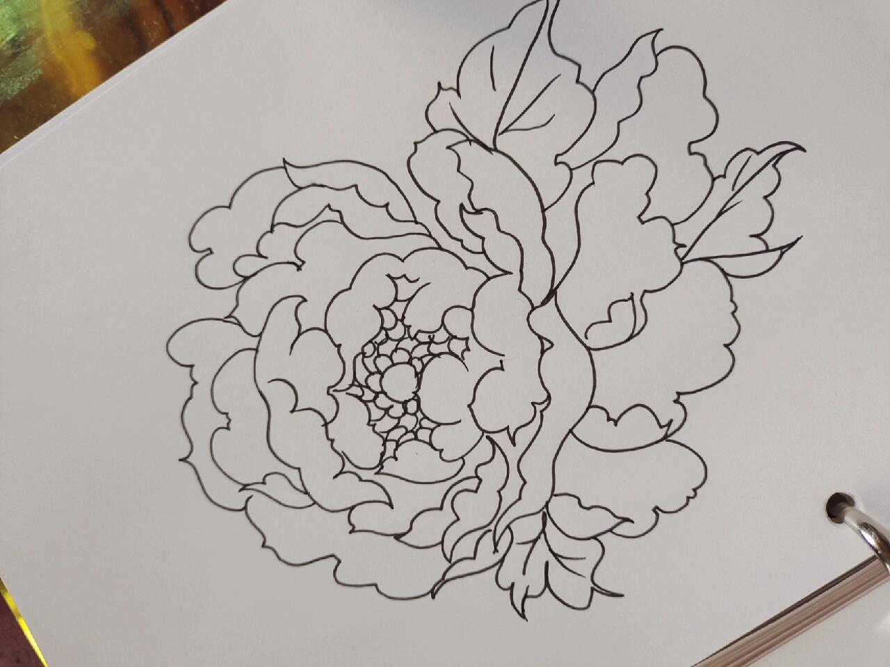 牡丹|简笔画|含教程