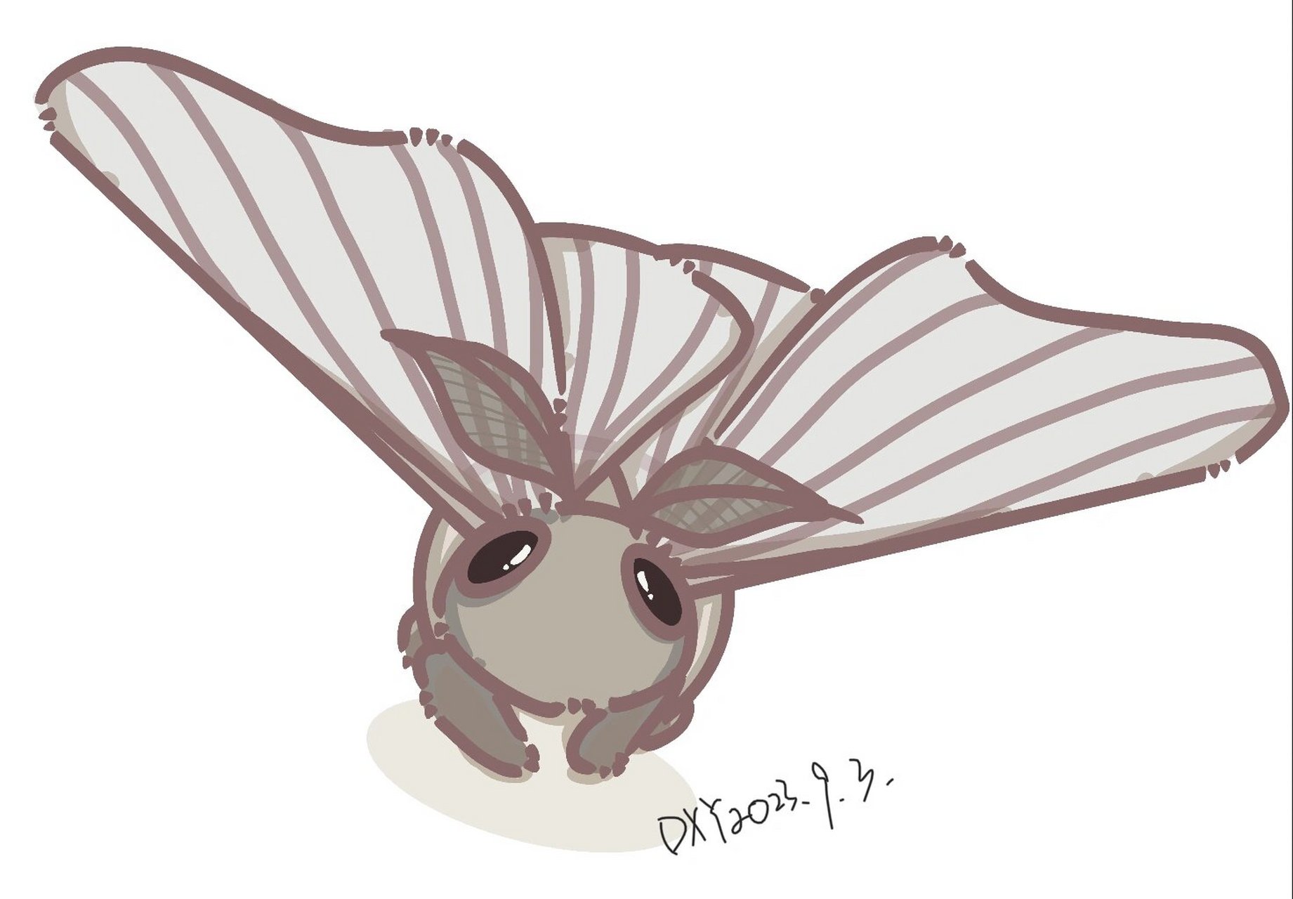 绿尾大蚕蛾 可爱的蛾子