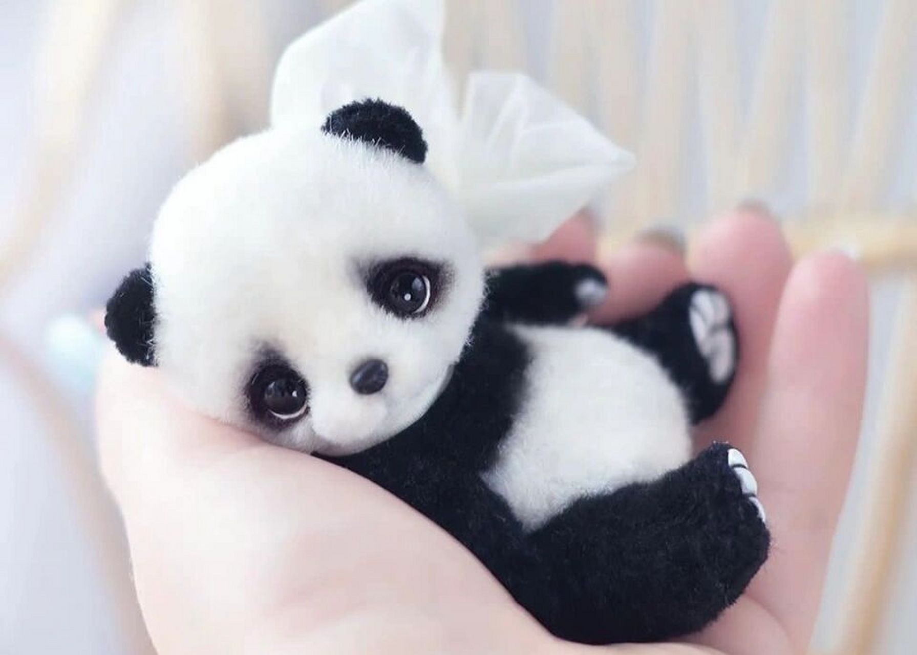 超可爱治愈系手作毛绒玩偶02抱抱小动物们99 手作欣赏98 艺术家